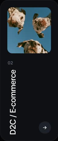 D2C / E-commerce
